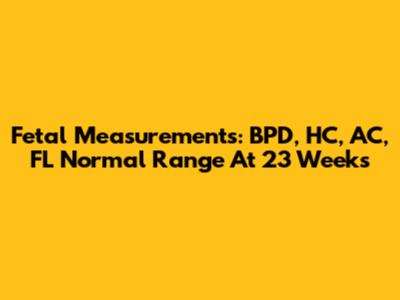 Fetal Measurements: BPD, HC, AC, FL Normal Range At 23 Weeks