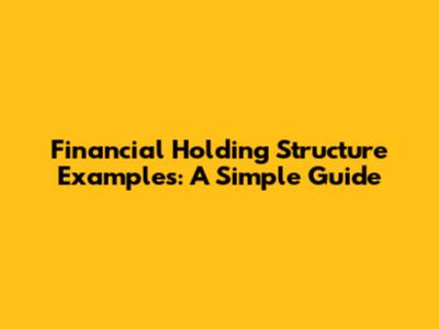 Financial Holding Structure Examples: A Simple Guide
