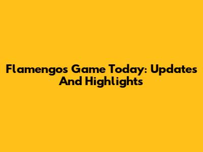 Flamengo's Game Today: Updates And Highlights
