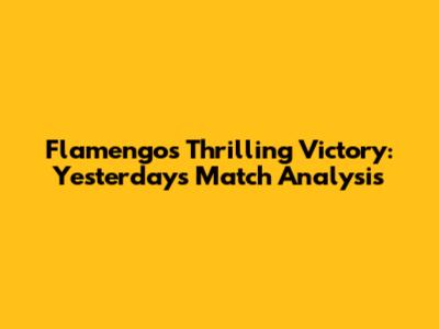 Flamengo's Thrilling Victory: Yesterday's Match Analysis