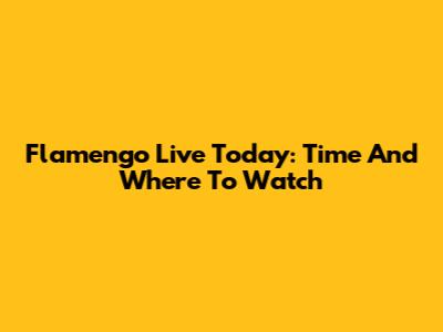 Flamengo Live Today: Time And Where To Watch