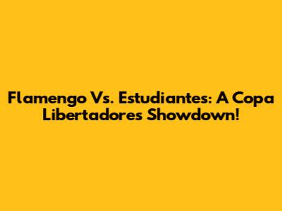 Flamengo Vs. Estudiantes: A Copa Libertadores Showdown!