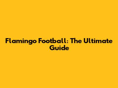 Flamingo Football: The Ultimate Guide