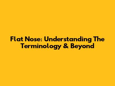 Flat Nose: Understanding The Terminology & Beyond