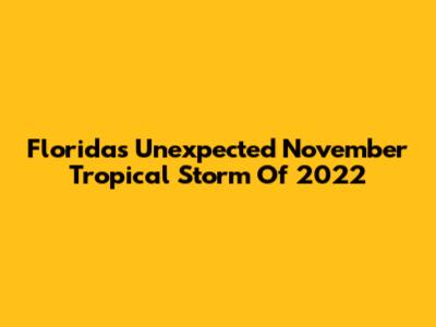 Florida's Unexpected November Tropical Storm Of 2022
