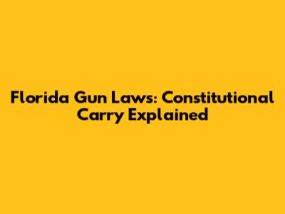 Florida Gun Laws: Constitutional Carry Explained