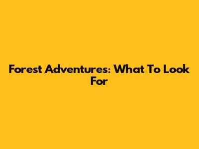 Forest Adventures: What To Look For