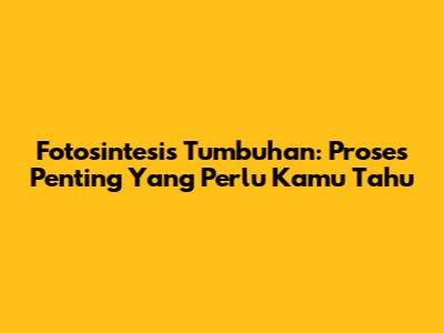 Fotosintesis Tumbuhan: Proses Penting Yang Perlu Kamu Tahu