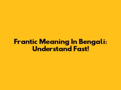 Frantic Meaning In Bengali: Understand Fast!