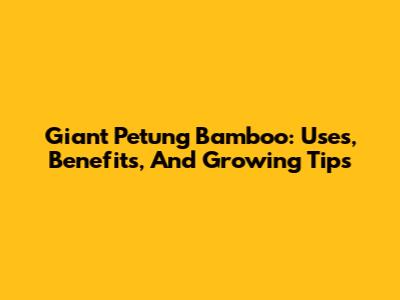 Giant Petung Bamboo: Uses, Benefits, And Growing Tips