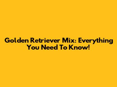 Golden Retriever Mix: Everything You Need To Know!
