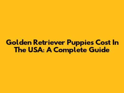 Golden Retriever Puppies Cost In The USA: A Complete Guide
