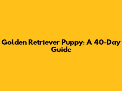 Golden Retriever Puppy: A 40-Day Guide