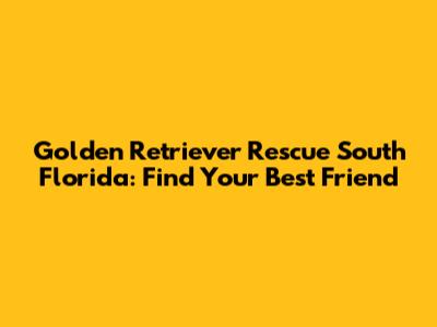 Golden Retriever Rescue South Florida: Find Your Best Friend