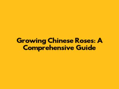 Growing Chinese Roses: A Comprehensive Guide