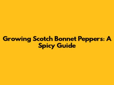 Growing Scotch Bonnet Peppers: A Spicy Guide