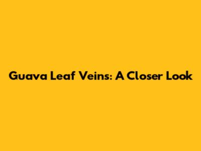 Guava Leaf Veins: A Closer Look
