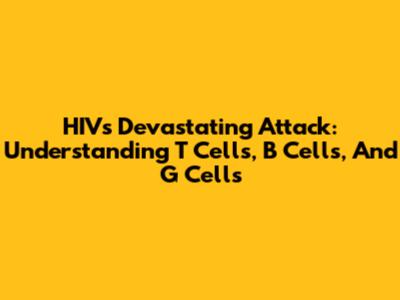 HIV's Devastating Attack: Understanding T Cells, B Cells, And G Cells