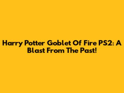Harry Potter Goblet Of Fire PS2: A Blast From The Past!