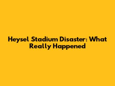 Heysel Stadium Disaster: What Really Happened