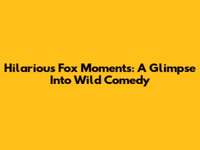 Hilarious Fox Moments: A Glimpse Into Wild Comedy