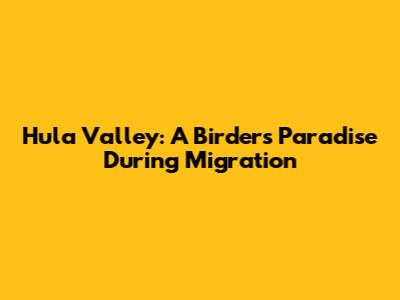 Hula Valley: A Birder's Paradise During Migration