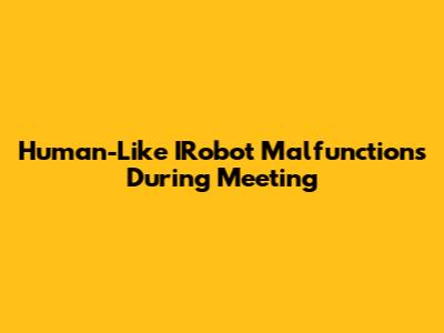 Human-Like IRobot Malfunctions During Meeting