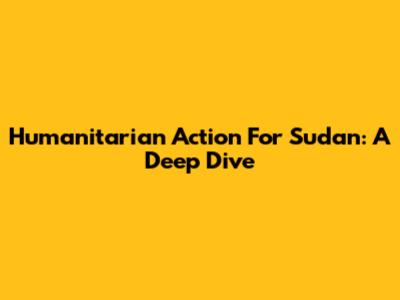 Humanitarian Action For Sudan: A Deep Dive