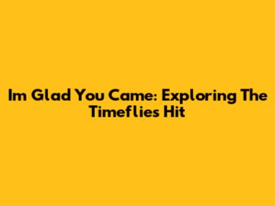 I'm Glad You Came: Exploring The Timeflies Hit