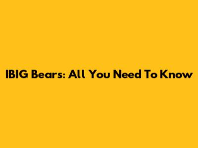 IBIG Bears: All You Need To Know