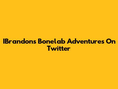 IBrandon's Bonelab Adventures On Twitter
