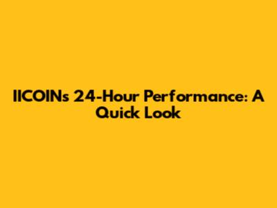 IICOIN's 24-Hour Performance: A Quick Look