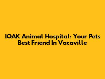 IOAK Animal Hospital: Your Pet's Best Friend In Vacaville