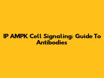 IP AMPK Cell Signaling: Guide To Antibodies