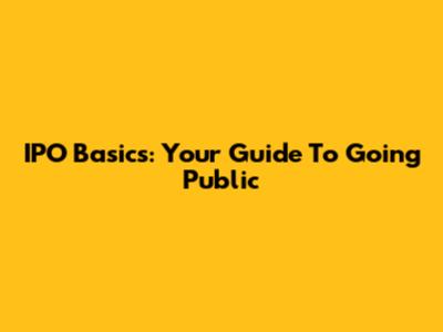IPO Basics: Your Guide To Going Public