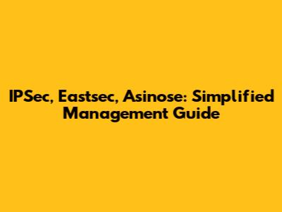 IPSec, Eastsec, Asinose: Simplified Management Guide