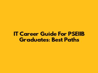 IT Career Guide For PSEIIB Graduates: Best Paths