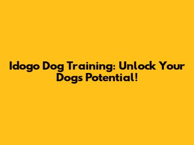 Idogo Dog Training: Unlock Your Dog's Potential!