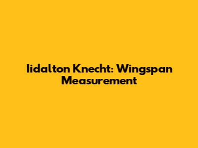 Iidalton Knecht: Wingspan Measurement