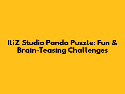 IliZ Studio Panda Puzzle: Fun & Brain-Teasing Challenges