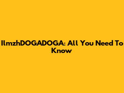 IlmzhDOGADOGA: All You Need To Know