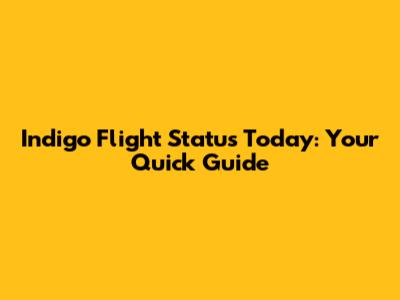 Indigo Flight Status Today: Your Quick Guide