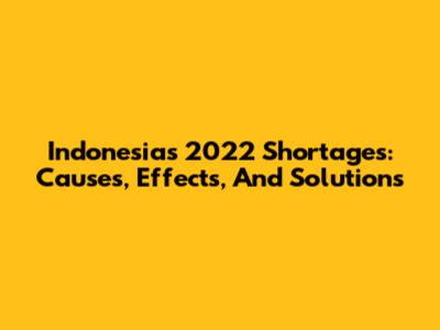 Indonesia's 2022 Shortages: Causes, Effects, And Solutions