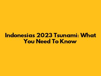 Indonesia's 2023 Tsunami: What You Need To Know