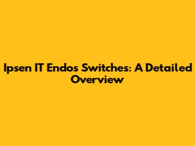 Ipsen IT Endos Switches: A Detailed Overview
