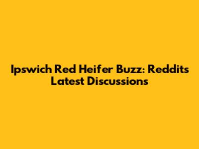 Ipswich Red Heifer Buzz: Reddit's Latest Discussions