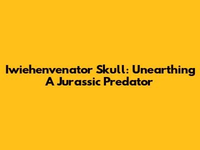 Iwiehenvenator Skull: Unearthing A Jurassic Predator