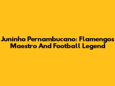 Juninho Pernambucano: Flamengo's Maestro And Football Legend