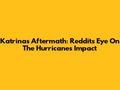 Katrina's Aftermath: Reddit's Eye On The Hurricane's Impact