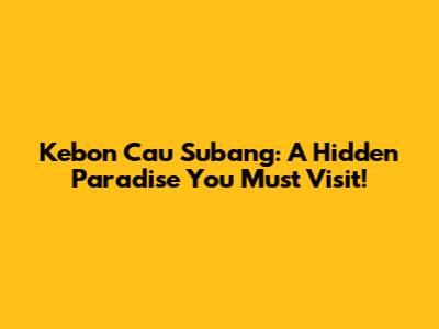Kebon Cau Subang: A Hidden Paradise You Must Visit!